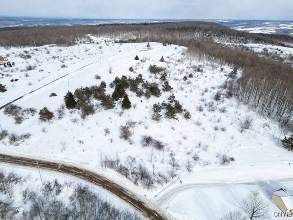 Cook Hill RD, Herkimer, NY 13350