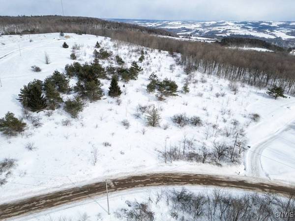 Cook Hill RD, Herkimer, NY 13350