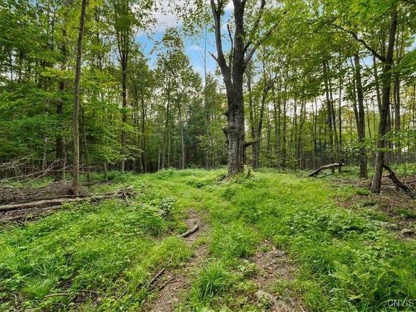 Armstrong RD, Plainfield, NY 13315