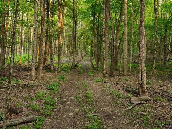 Armstrong RD, Plainfield, NY 13315