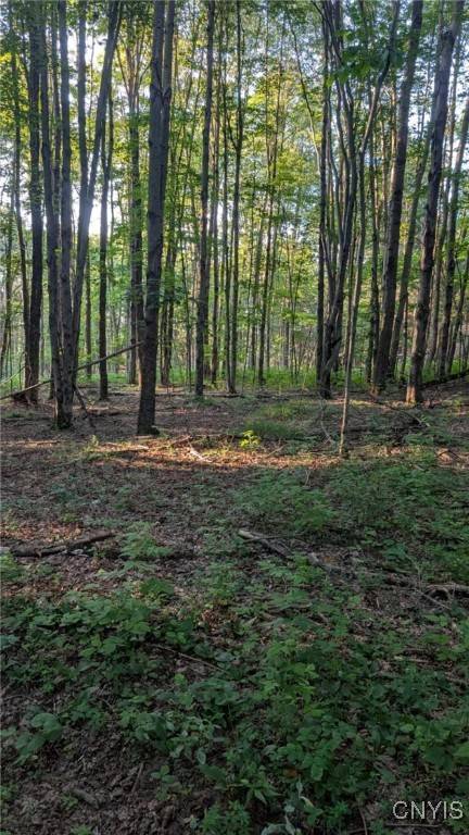 Armstrong RD, Plainfield, NY 13315