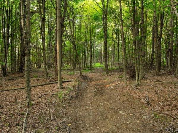 Armstrong RD, Plainfield, NY 13315