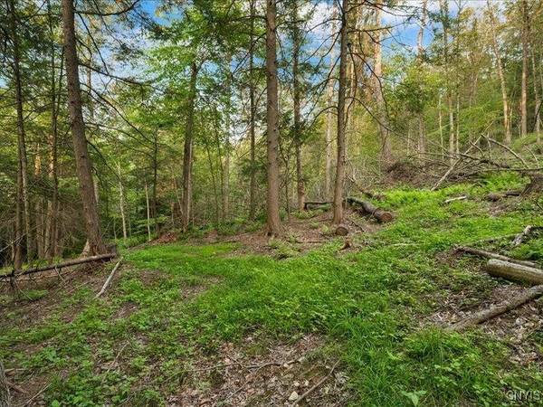 Armstrong RD, Plainfield, NY 13315