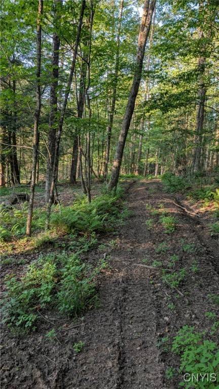 Armstrong RD, Plainfield, NY 13315