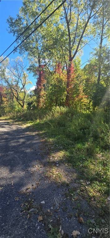 3225 Snowden Hill RD, New Hartford, NY 13413