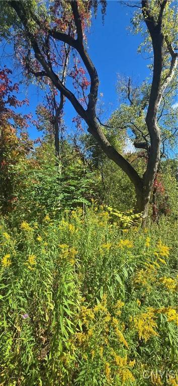 3225 Snowden Hill RD, New Hartford, NY 13413