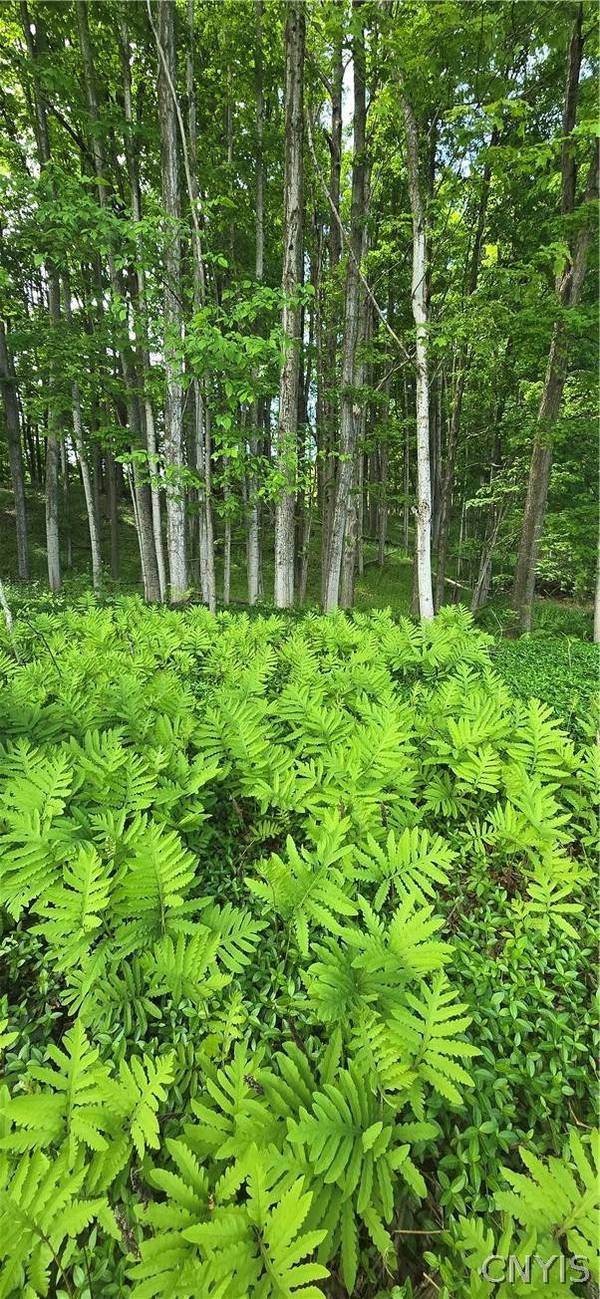 Saunders RD, Kirkland, NY 13321