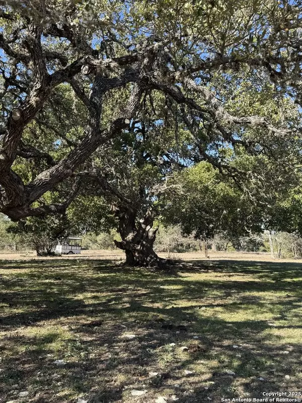 650 Windmill Ridge, Blanco, TX 78606