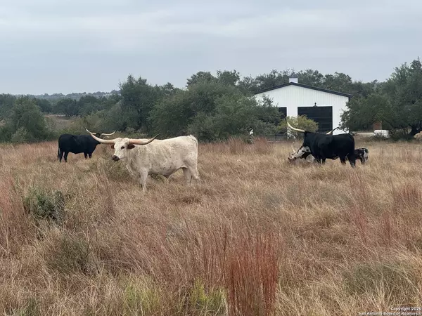 650 Windmill Ridge, Blanco, TX 78606