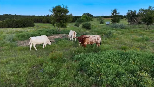 1283 Rattlesnake TRL, Burnet, TX 78611