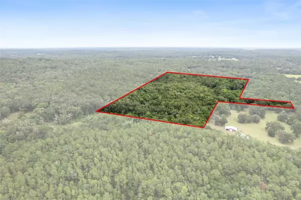 OLD CRYSTAL RIVER RD, Brooksville, FL 34601