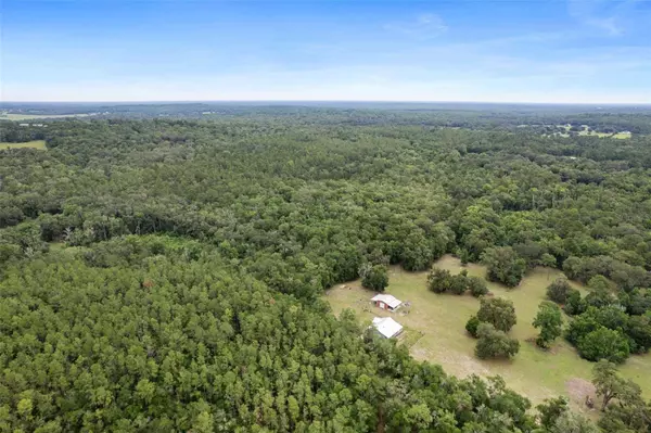 OLD CRYSTAL RIVER RD, Brooksville, FL 34601
