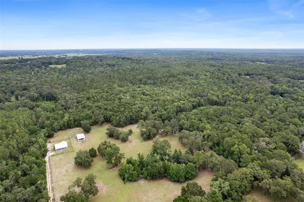 OLD CRYSTAL RIVER RD, Brooksville, FL 34601