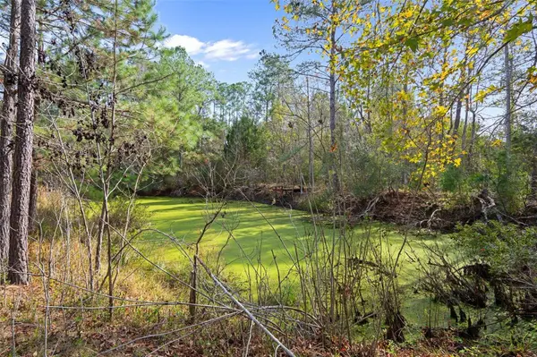 22439 BULL RUN RD, Brooksville, FL 34602