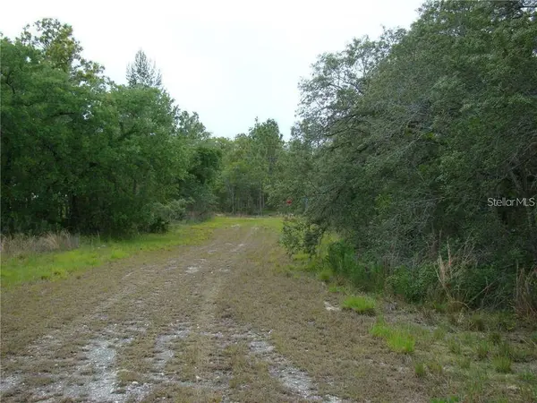 0 GOLIATH CT, Weeki Wachee, FL 34614