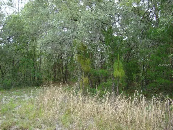 0 GOLIATH CT, Weeki Wachee, FL 34614