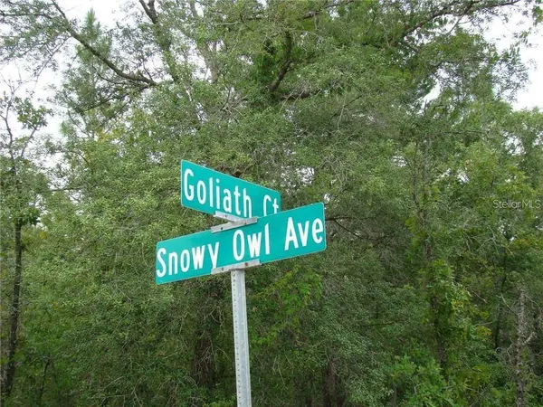 0 GOLIATH CT, Weeki Wachee, FL 34614