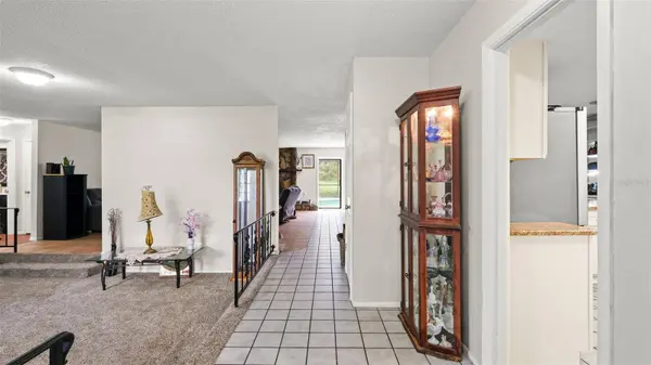 9328 FRED ST, Hudson, FL 34669