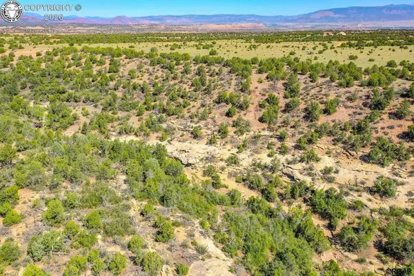 TBD L4A Newlin Ridge RD, Florence, CO 81226