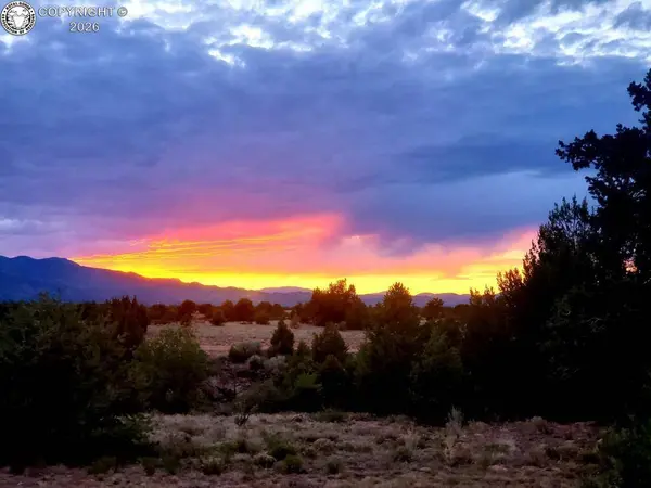 TBD L4A Newlin Ridge RD, Florence, CO 81226