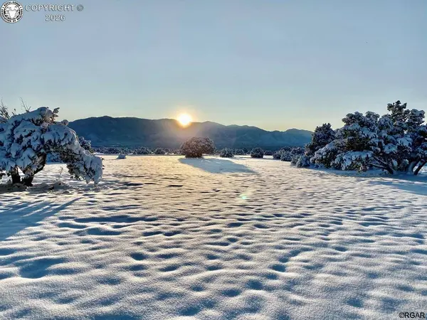 TBD L4A Newlin Ridge RD, Florence, CO 81226