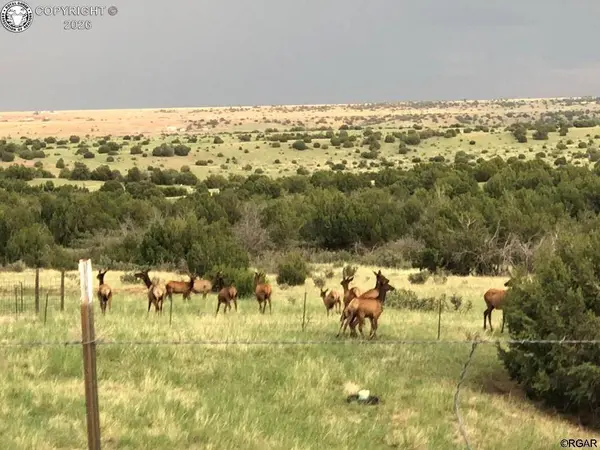 TBD L4A Newlin Ridge RD, Florence, CO 81226