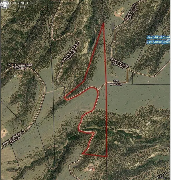 TBD L4A Newlin Ridge RD, Florence, CO 81226