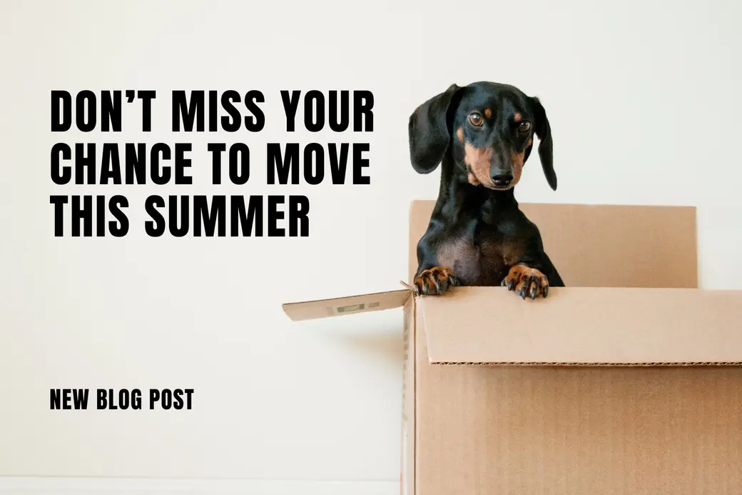 Don’t Miss Your Chance to Move This Summer