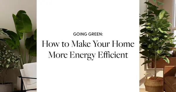 Going Green: How To Make Your Home More Energy Efficient,Tony Antoniewicz