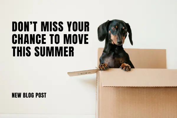 Don’t Miss Your Chance to Move This Summer,Tony Antoniewicz