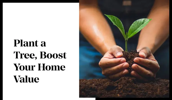 Plant a Tree, Boost Your Home Value,Tony Antoniewicz