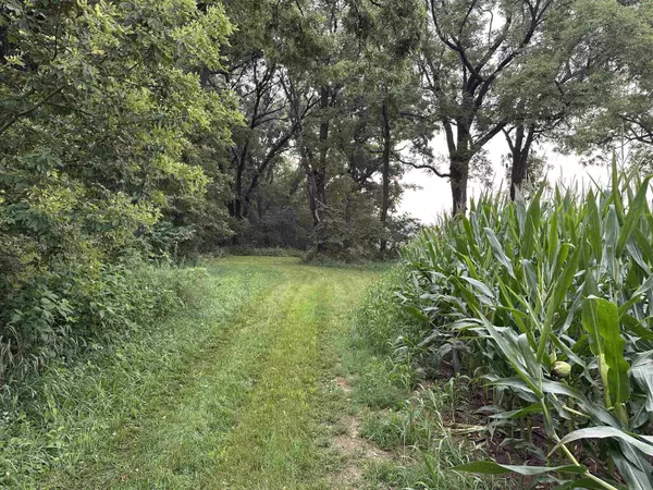 Lot 1 Benson Road, Brooklyn, WI 53521