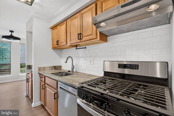11232 CHESTNUT GROVE SQ #233, Reston, VA 20190