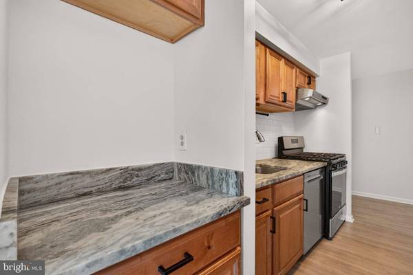 11232 CHESTNUT GROVE SQ #233, Reston, VA 20190