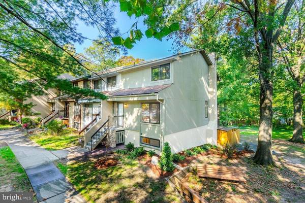 2246 WHITE CORNUS LN