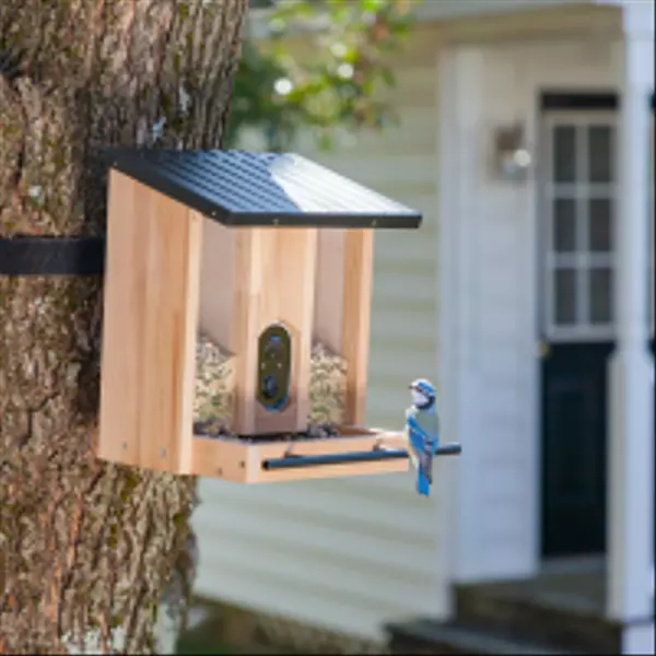 5 Expert Tips on How to Keep Squirrels Out of Bird Feeders