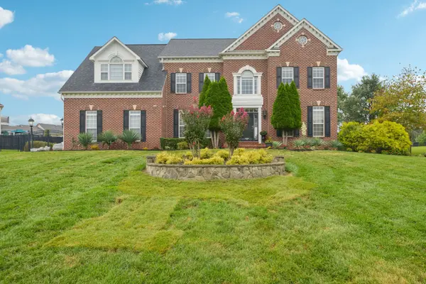 1-web-or-mls-Amelias Grove Ct-S1209-001 (1)