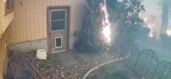 They Fled Wildfires and Watched the Flames Approach From Their Phones
