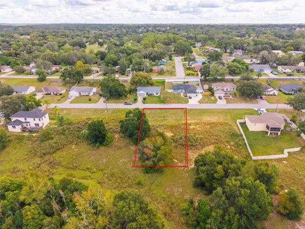 MORNINGVIEW DR, Eustis, FL 32726