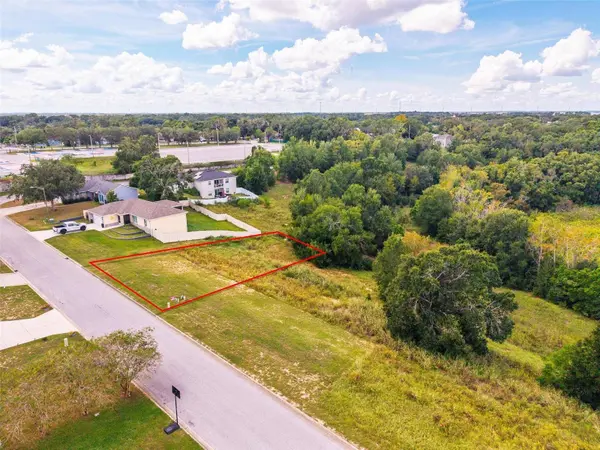 MORNINGVIEW DR, Eustis, FL 32726