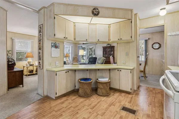 197 PALM MEADOWS DR, Eustis, FL 32726