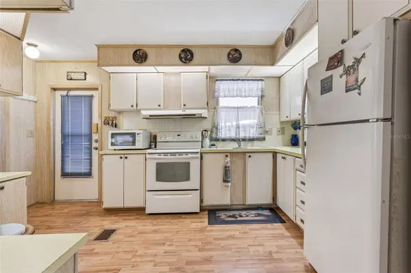 197 PALM MEADOWS DR, Eustis, FL 32726