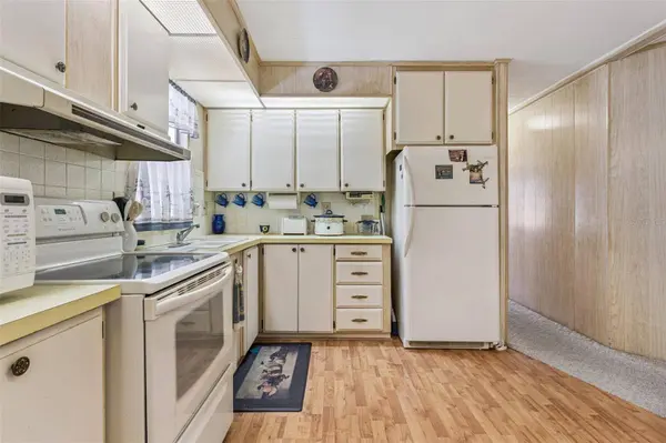 197 PALM MEADOWS DR, Eustis, FL 32726