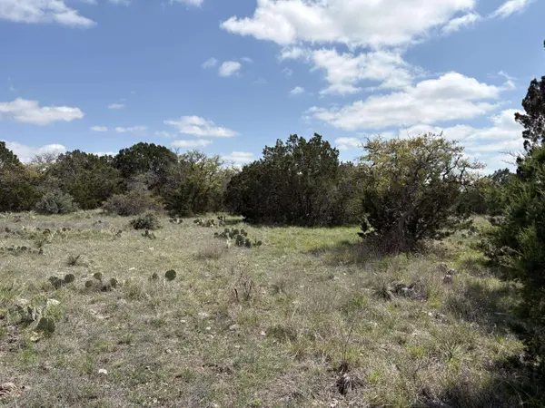 0 Elm Spgs TRL, Menard, TX 76859