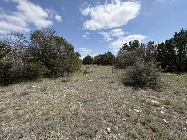 0 Elm Spgs TRL, Menard, TX 76859