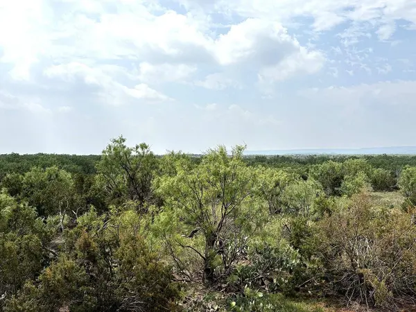 377 Axis Lp, Robert Lee, TX 76945