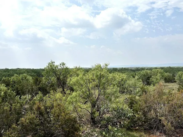 377 Axis Lp, Robert Lee, TX 76945