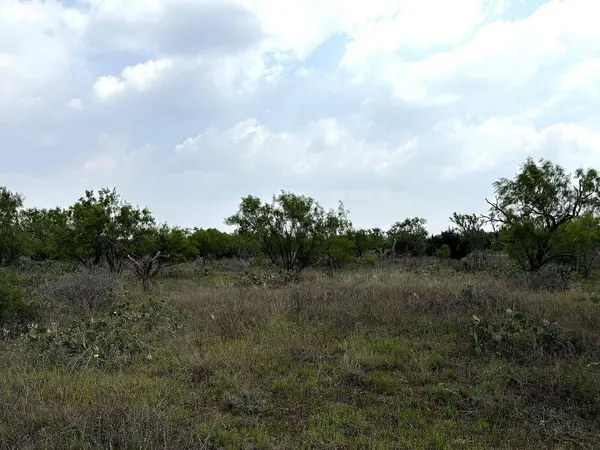 377 Axis Lp, Robert Lee, TX 76945