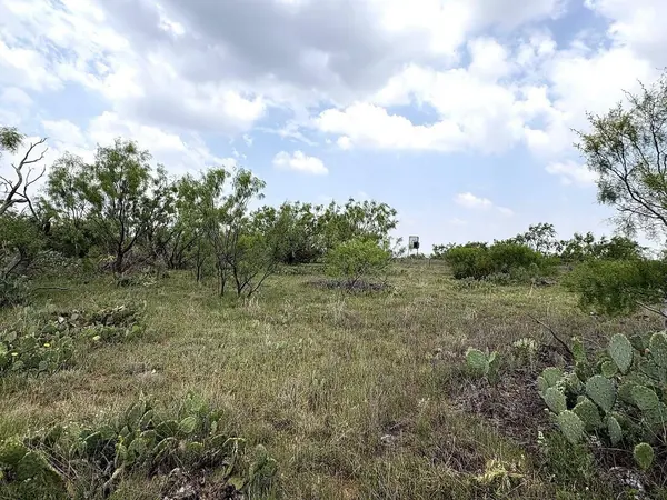 377 Axis Lp, Robert Lee, TX 76945