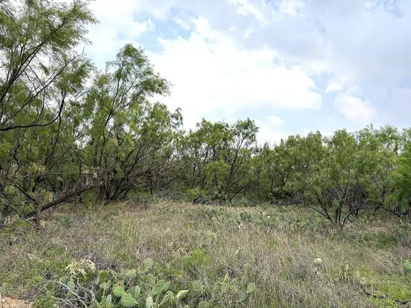 377 Axis Lp, Robert Lee, TX 76945